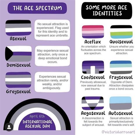 what is aegosexual|Asexual spectrum 